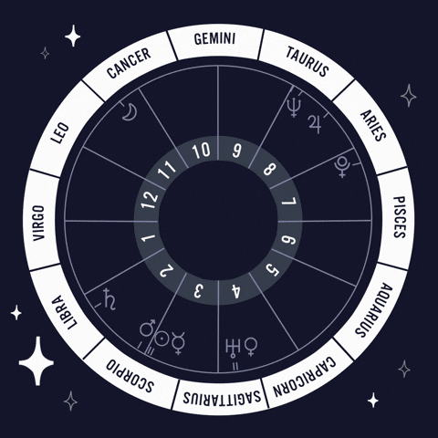 horoscope wheel